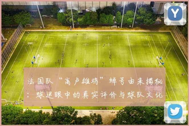 法国队“高卢雄鸡”绰号由来揭秘：球迷眼中的真实评价与球队文化